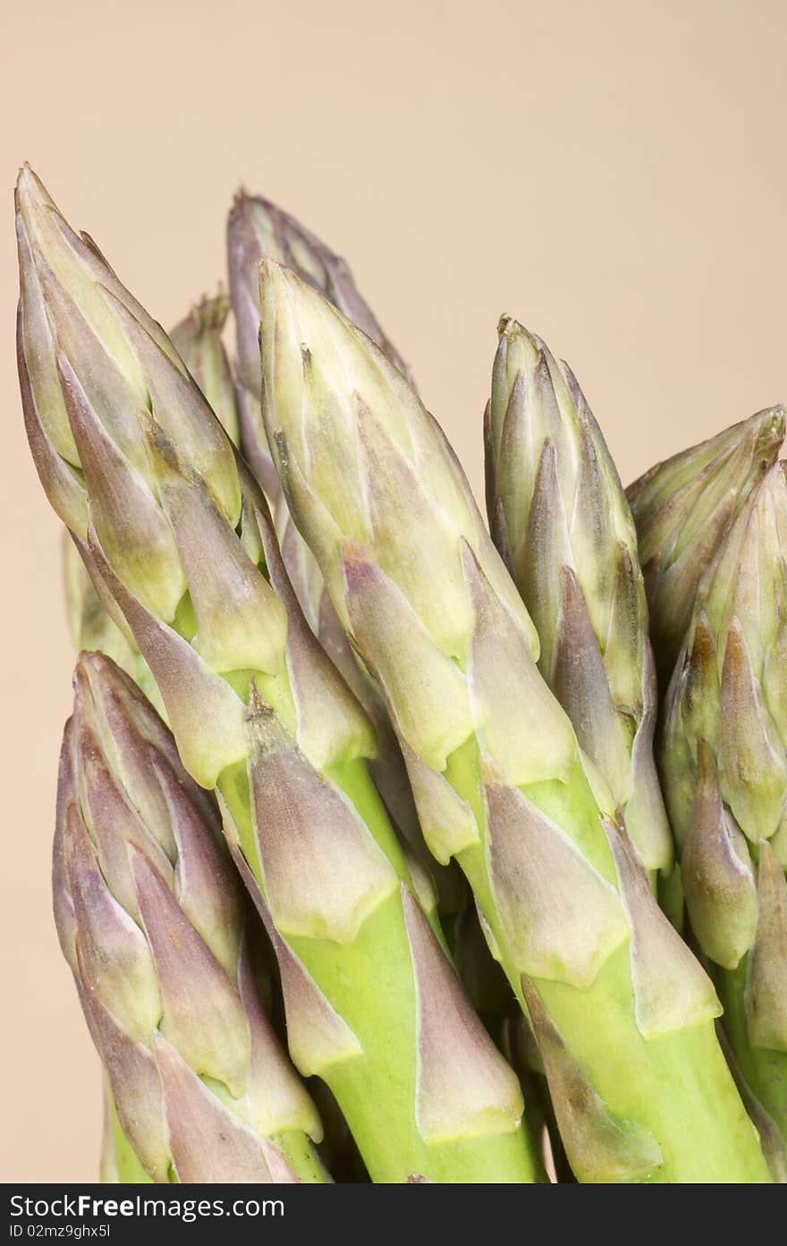 Asparagus close-up