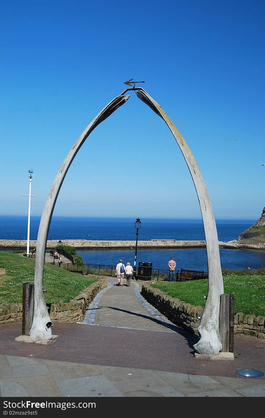 Whale bones