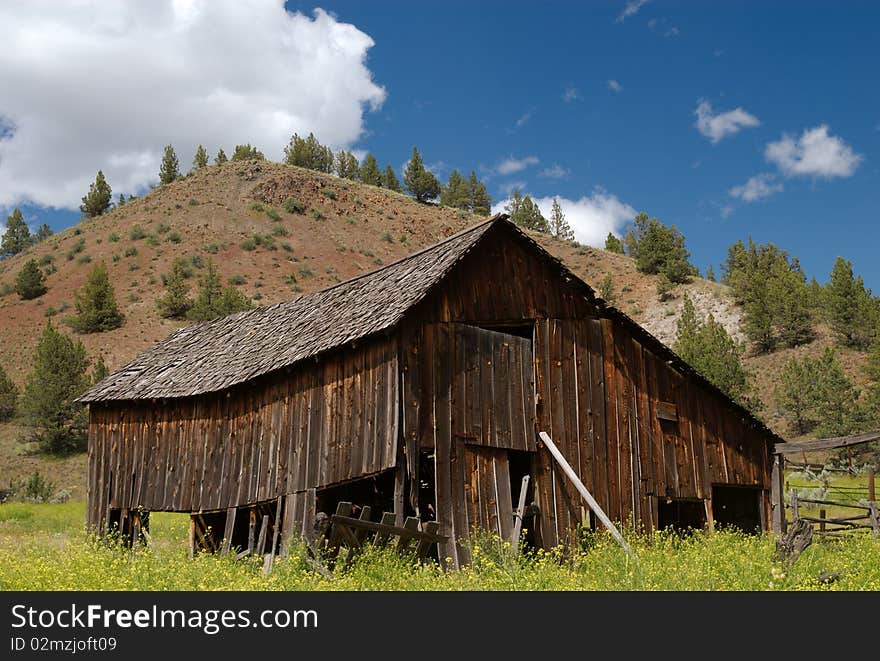 Barn and Wildflowers