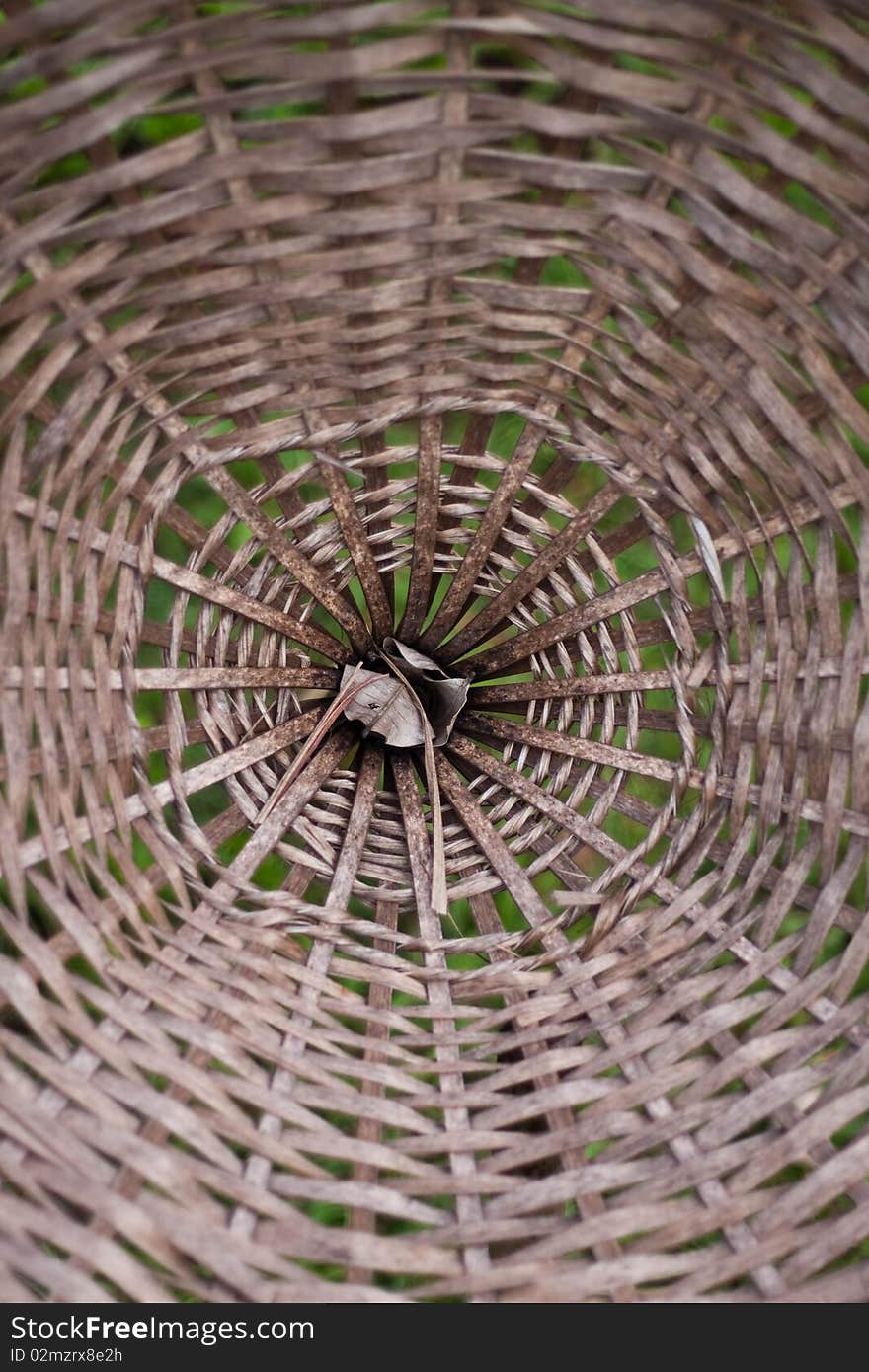 Inside a bin it made for bamboo!. Inside a bin it made for bamboo!