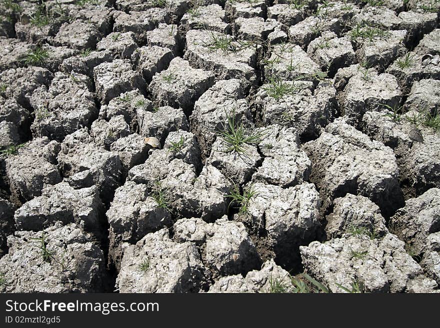 Cracked earth resulting from drought season. Cracked earth resulting from drought season.