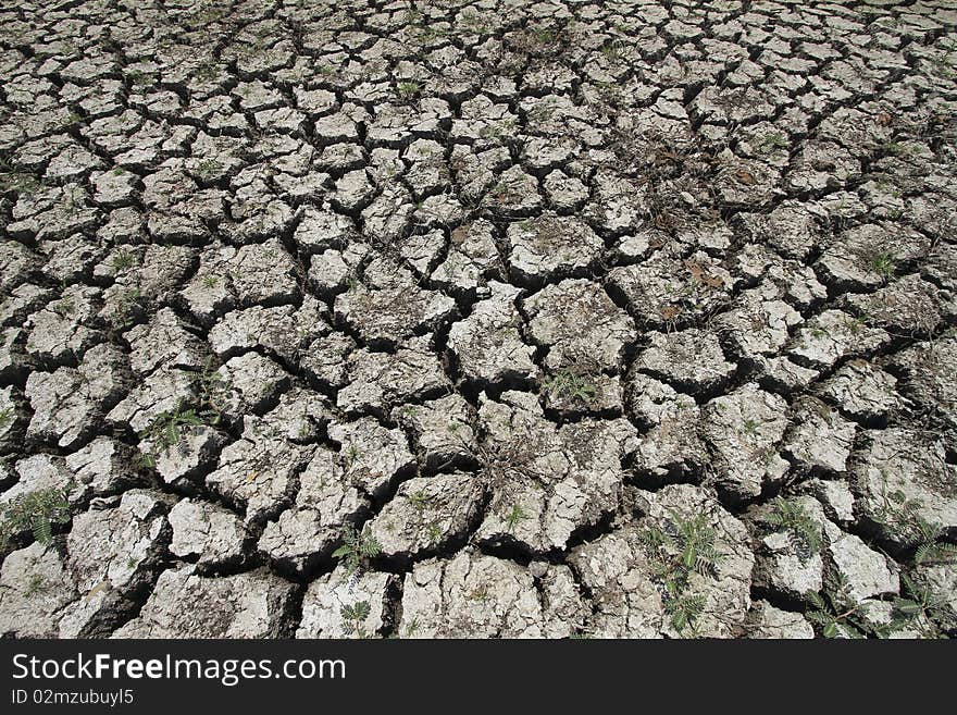 Cracked earth resulting from drought season. Cracked earth resulting from drought season.