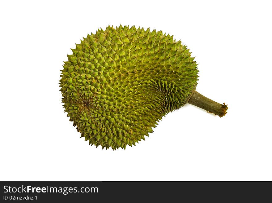 This is the most popular fruit in southeast asia called Durian. This is the most popular fruit in southeast asia called Durian