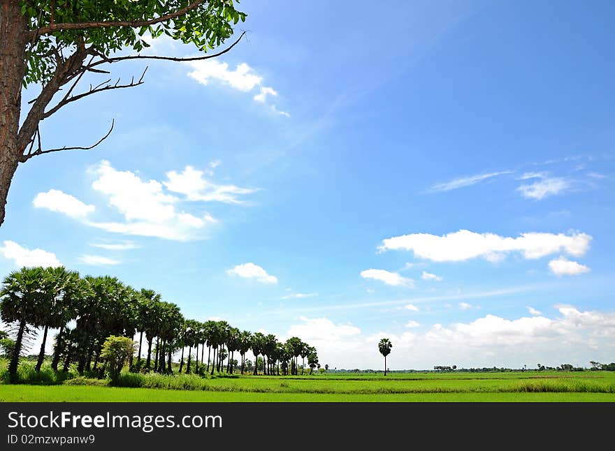 Countryside in Thailand