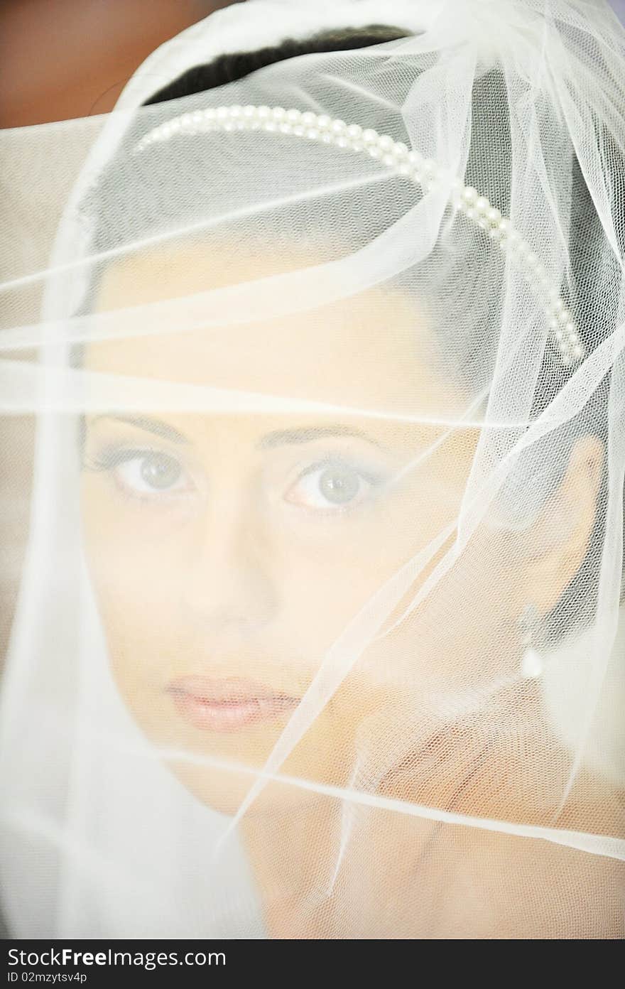 Studio portrait of beautiful stylish bride. Studio portrait of beautiful stylish bride