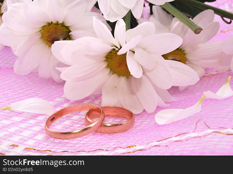 Wedding rings and flowers composition. White petals.