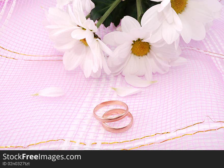 Wedding rings and flowers composition. White petals.