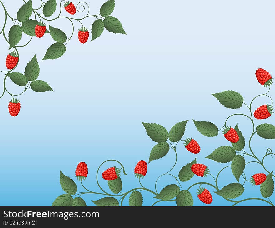 Floral background with a raspberry. Vector illustration.