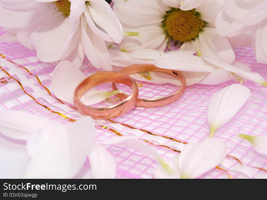 Wedding rings and flowers composition. White petals.