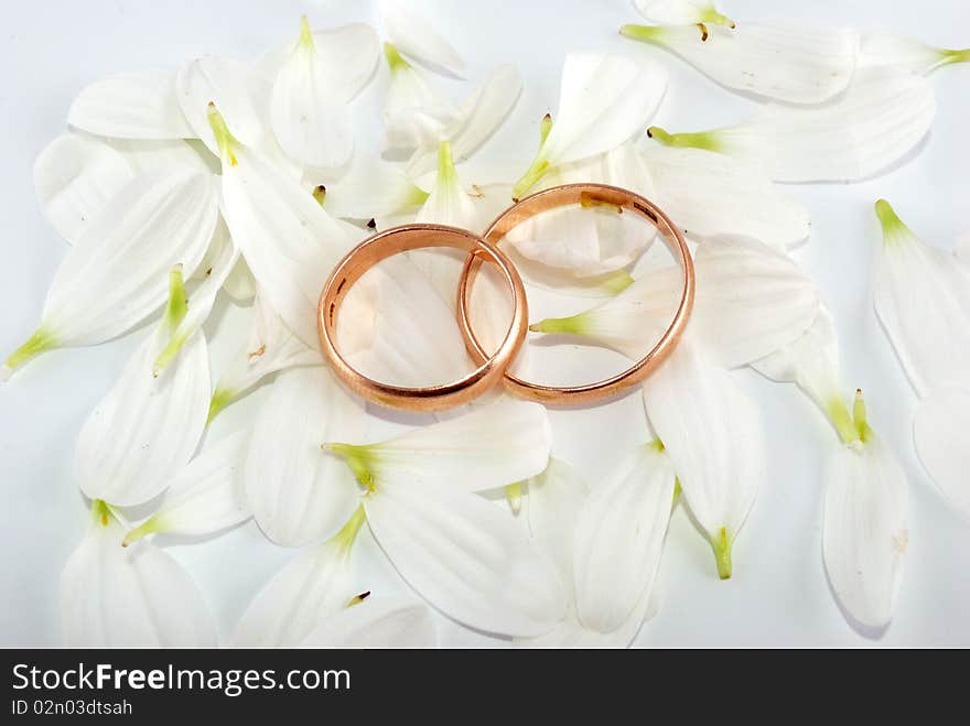 Wedding rings and flowers composition. White petals.