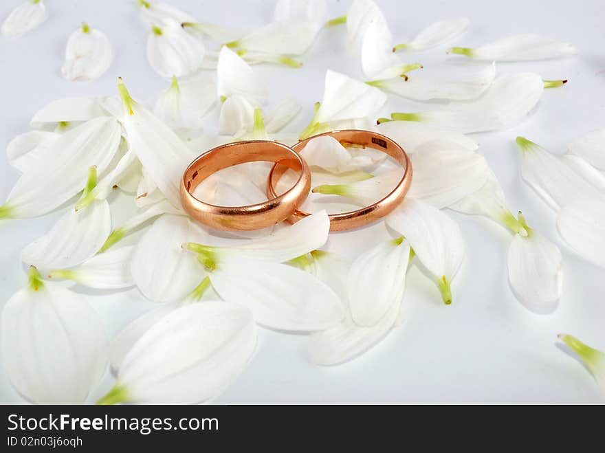 Wedding rings and flowers composition. White petals.