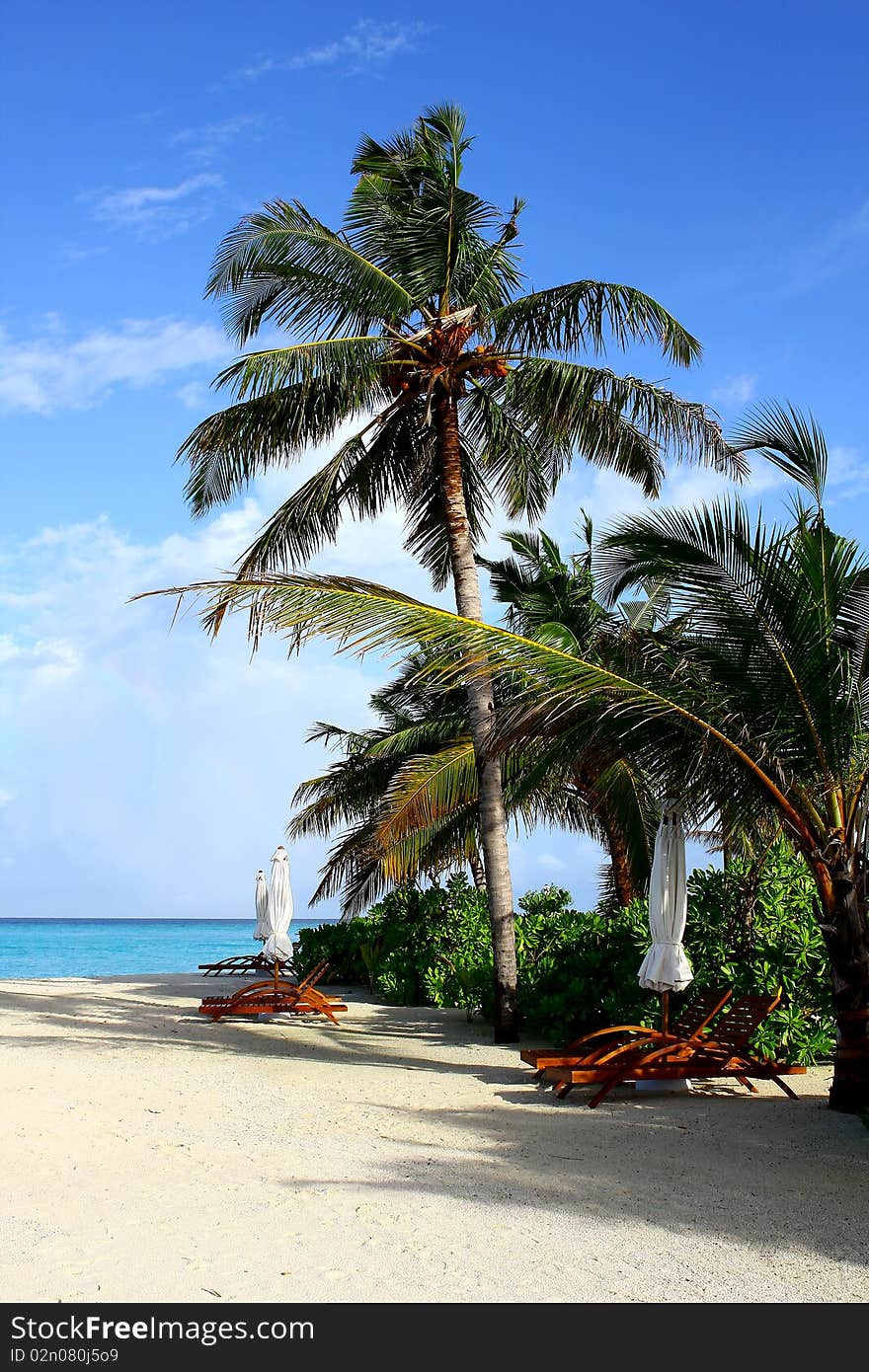 A beautiful scene of the Maldives beach