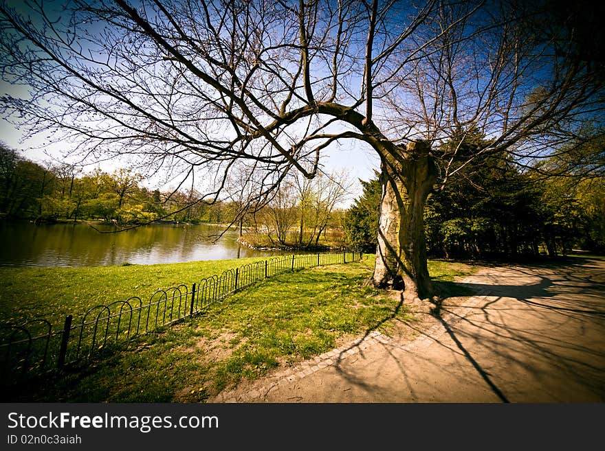 Awesome park in spring time. Awesome park in spring time