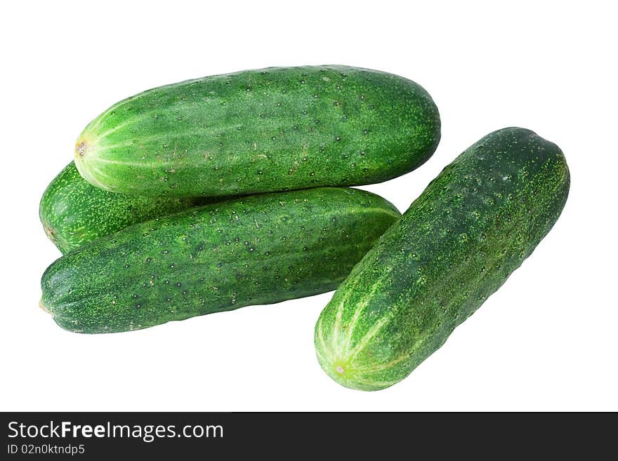 Cucumber