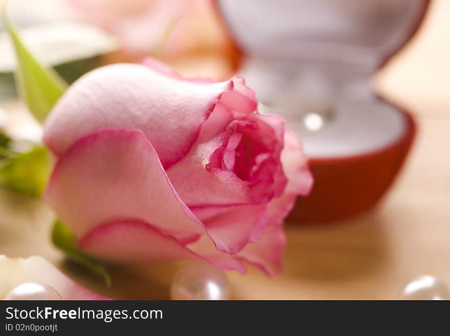 Symbol rings and pink roses