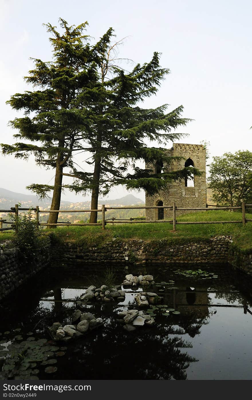 Tree, pond and mediaval towers shooted on the hill of the Baradello Castle in Como (Italy). Tree, pond and mediaval towers shooted on the hill of the Baradello Castle in Como (Italy)