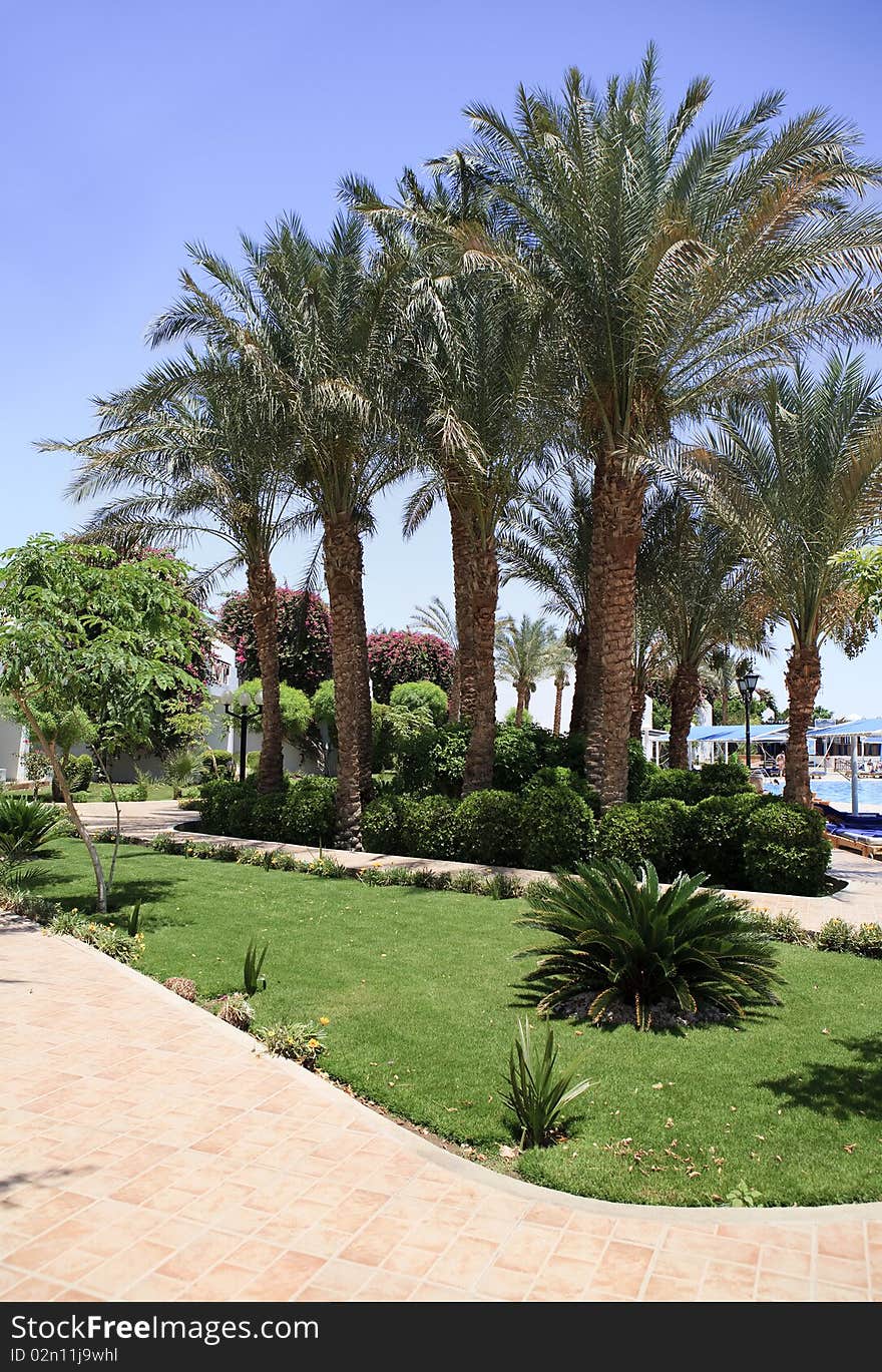 Sultan Garden Area hotel. Sharm El-sheikh. Egypt.