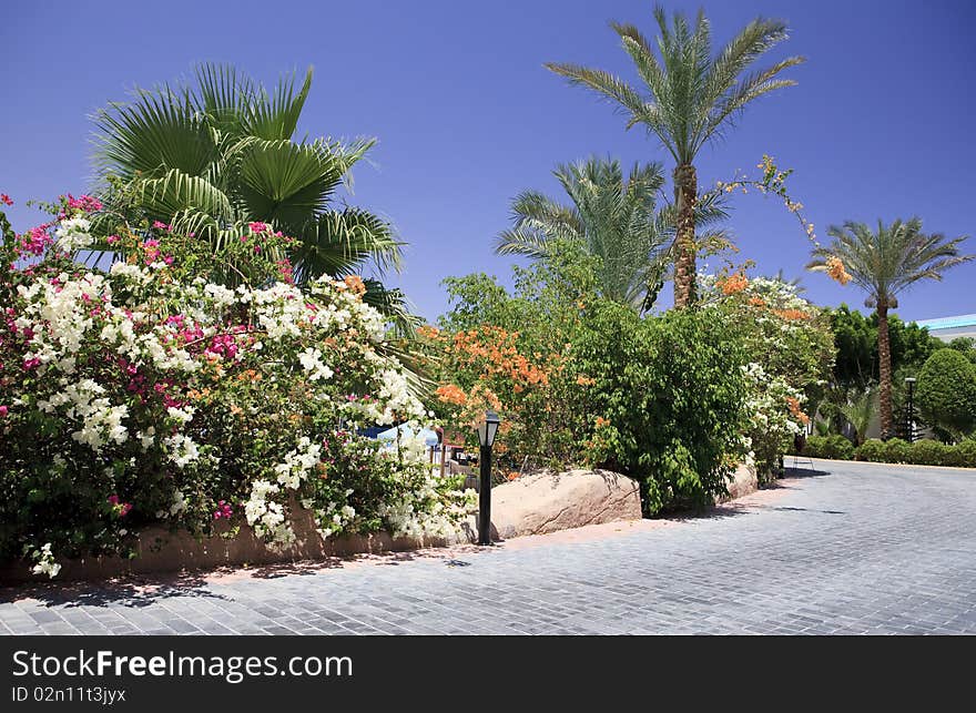 Sultan Garden Area hotel. Sharm El-sheikh. Egypt.