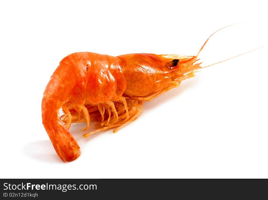 Boiled Black Sea shrimp on white isolated background. Boiled Black Sea shrimp on white isolated background