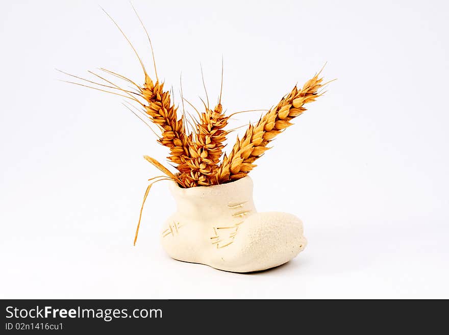 Ear of ripe wheat falling granule in ceramic white vase on an isolated white background