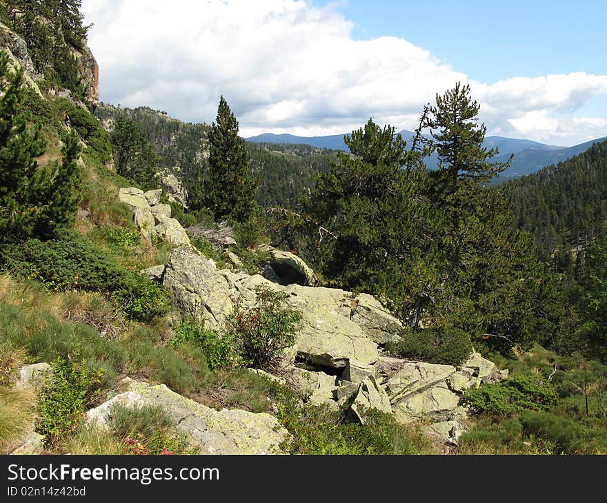 Nature reserve of the balmeta, in the Catalan country, in region Pyrénées Orientales, France. Nature reserve of the balmeta, in the Catalan country, in region Pyrénées Orientales, France