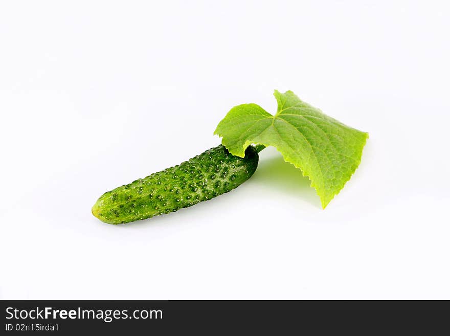 Cucumber With A Leaflet