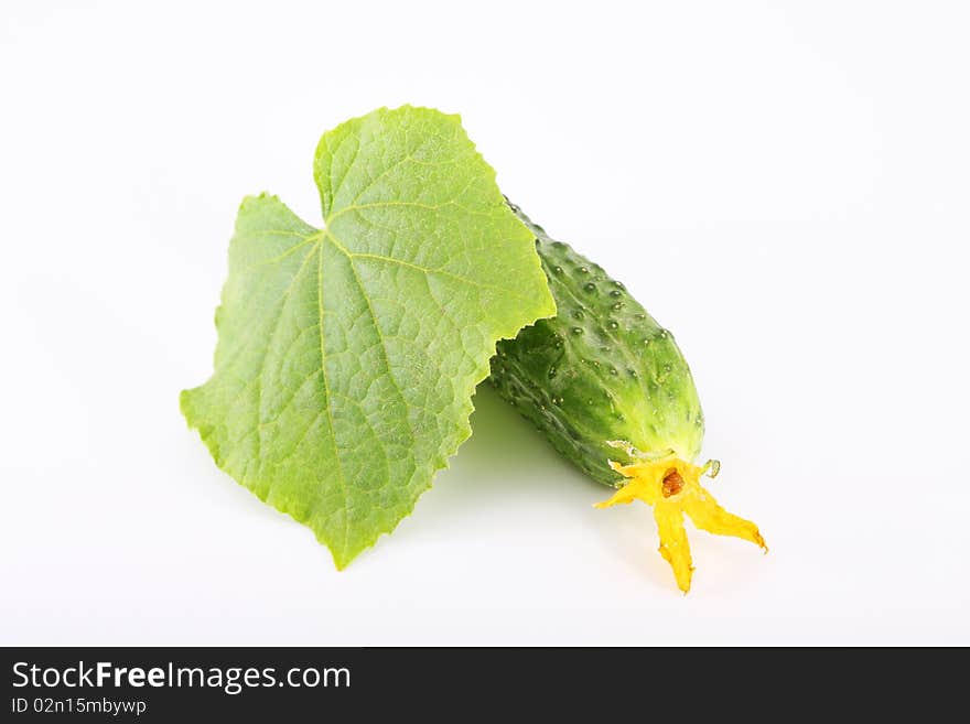 Cucumber With A Leaflet