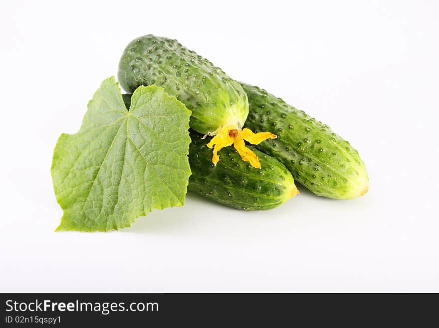 Cucumber on white background