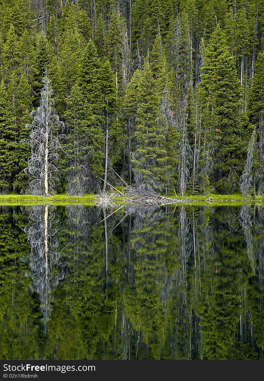 Morning reflection at Yellowstone's Twin Lakes. Morning reflection at Yellowstone's Twin Lakes