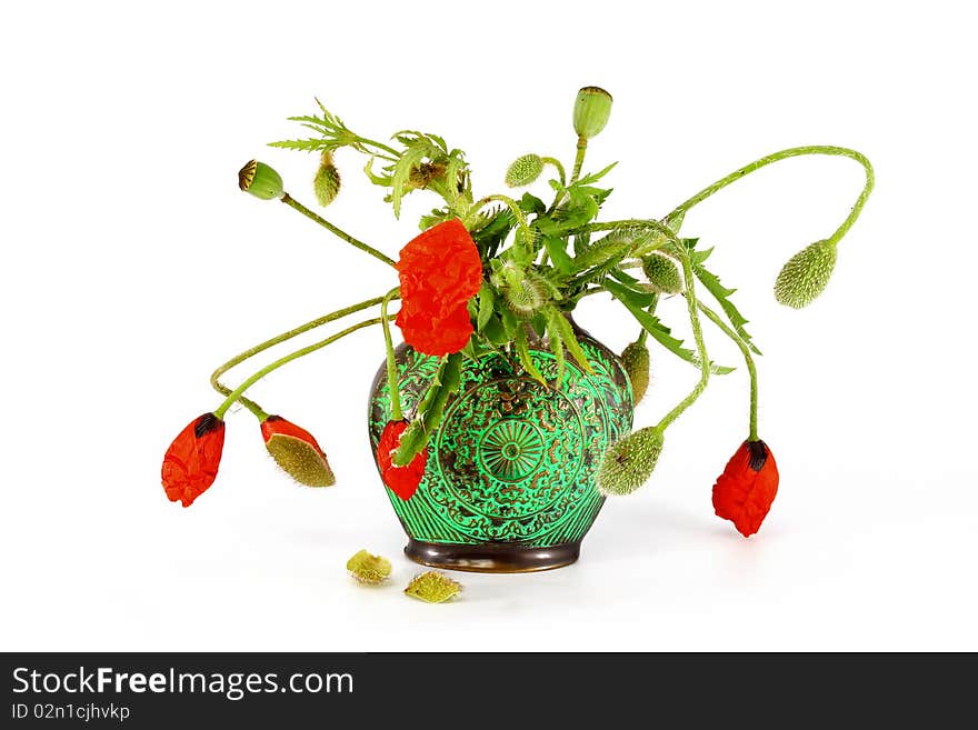 Flower Arrangement on a white background