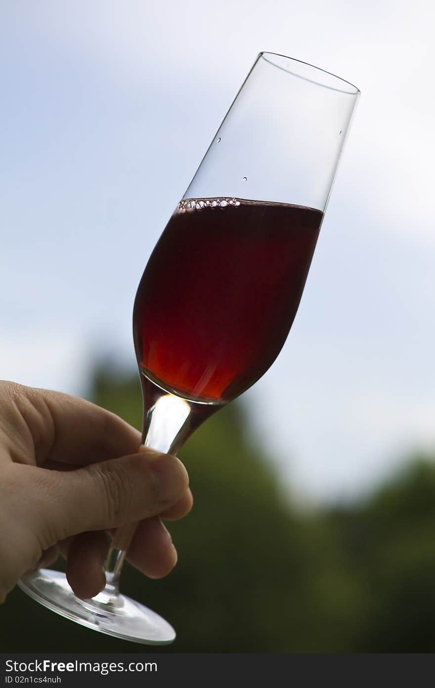 Classic red wine glass in sunlight