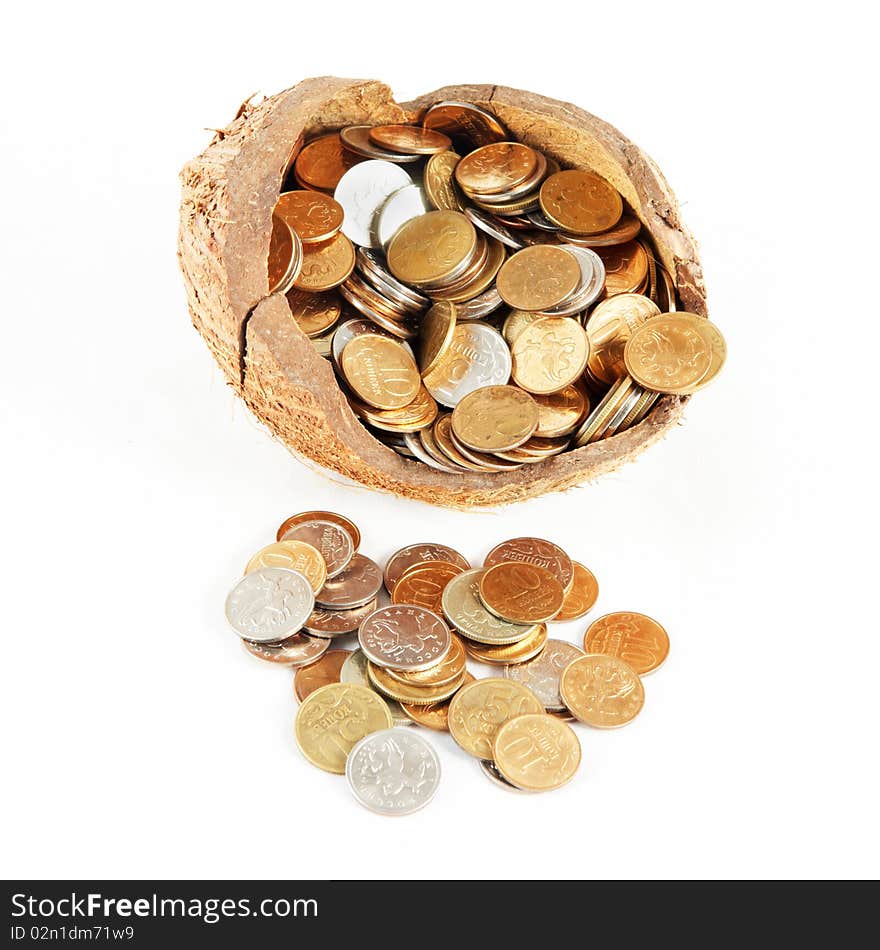 A money in cocoa shell