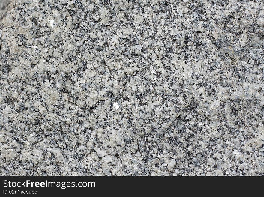 Grey granite by a large plan. Grey granite by a large plan