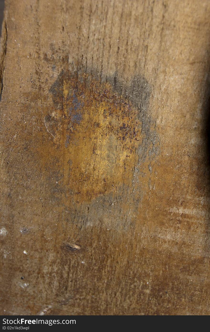 This photo shows a wood texture.