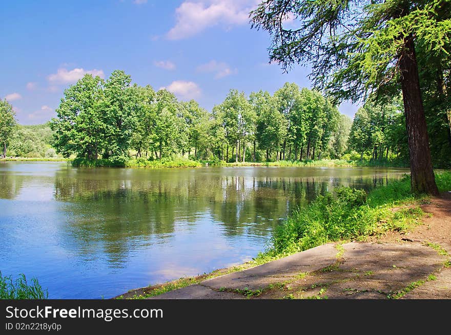 The trees reflected in water. The trees reflected in water