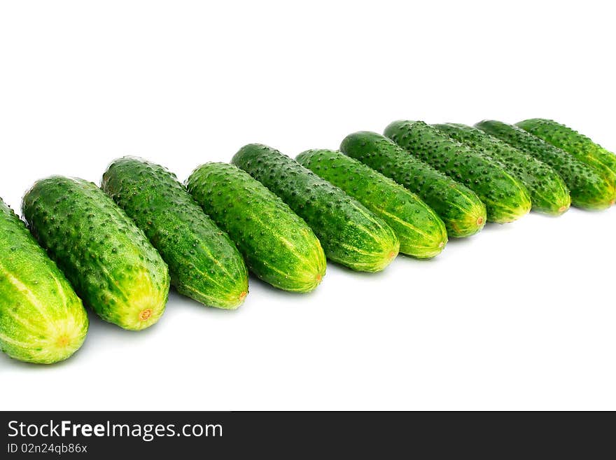 Green ripe cucumbers on a white background. Green ripe cucumbers on a white background