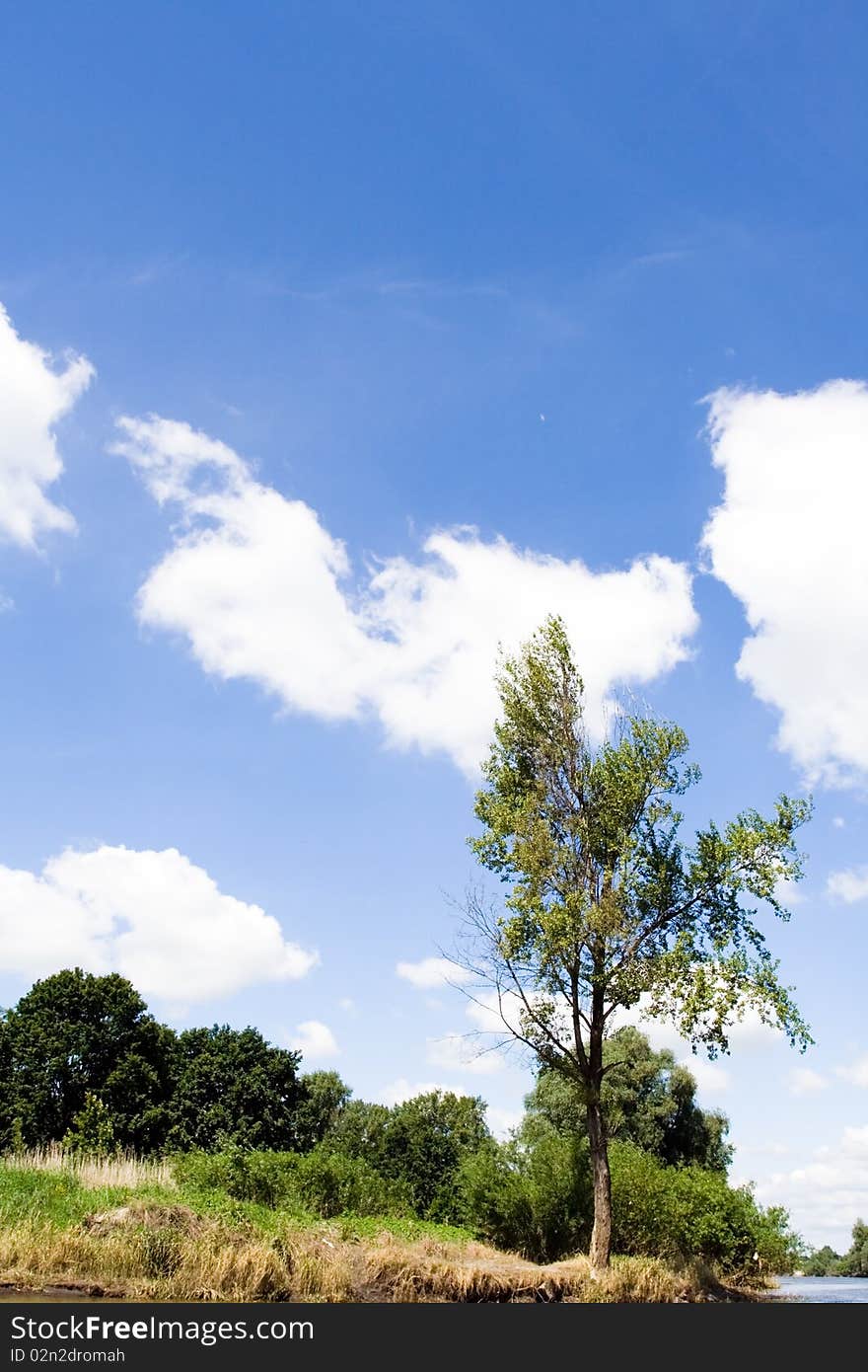 Summer landscape, tree and blue sky with clouds. Summer landscape, tree and blue sky with clouds