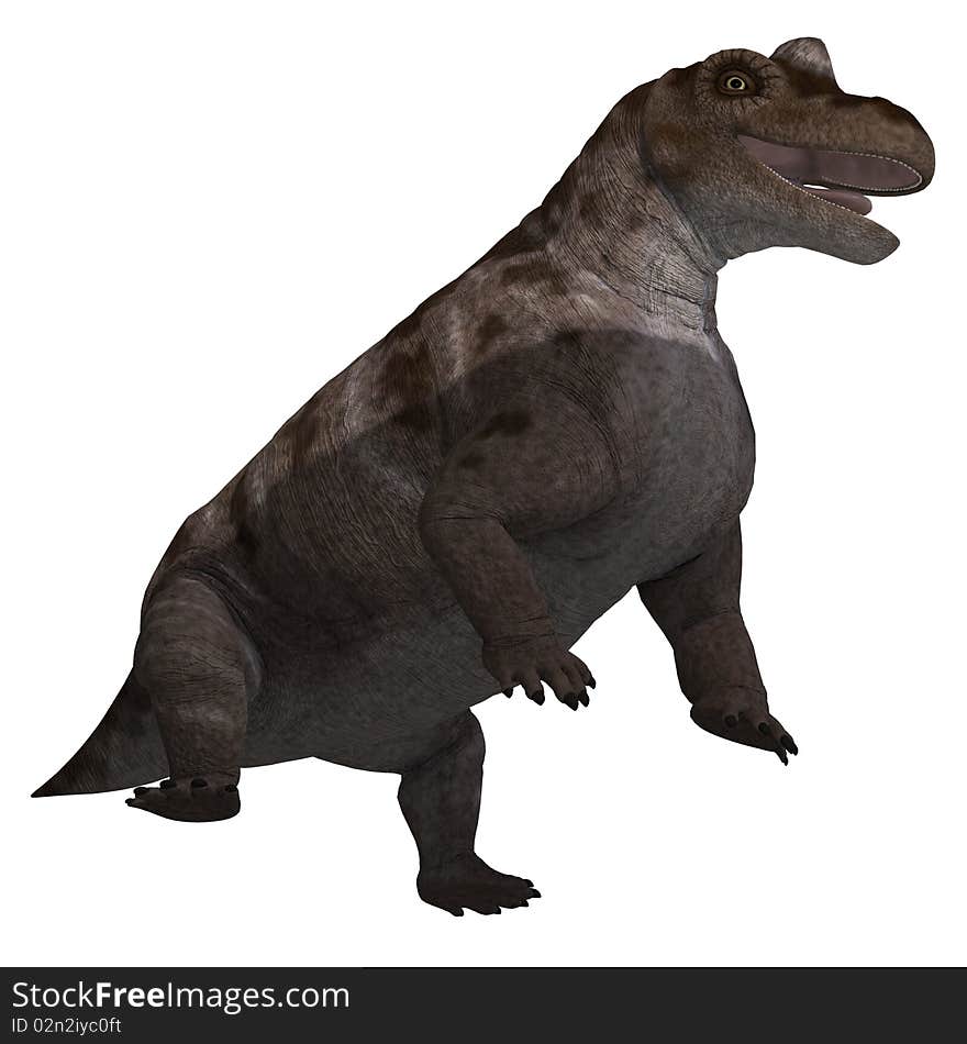 Dinosaur Keratocephalus