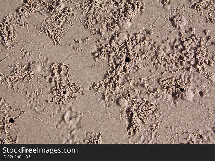 Sandy ground for beach background