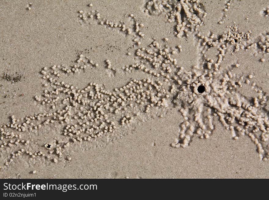 Sandy ground for beach background