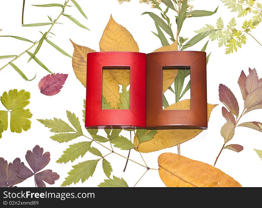 The dried plants and two frames on a white background. The dried plants and two frames on a white background.