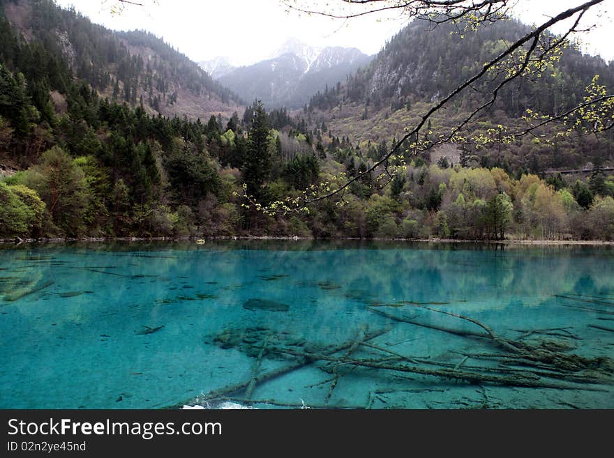 Mountain and a clear sparkling bright blue lake with submerged tree trunks clearly visible. Mountain and a clear sparkling bright blue lake with submerged tree trunks clearly visible