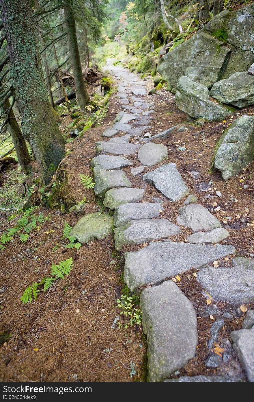 Path in Vysoke Tatry (High Tatras), Slovakia