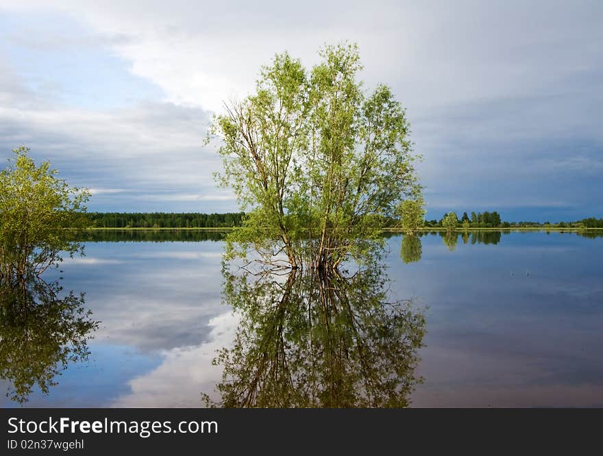 Bushes and trees, reflected in quiet water of lake. Panoramic wide view. Bushes and trees, reflected in quiet water of lake. Panoramic wide view.