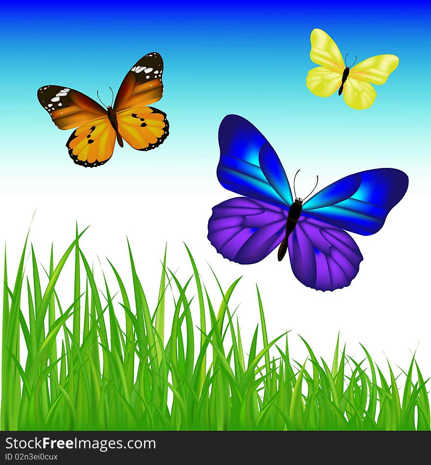 2 Butterflies And GreenGrassSet. Vector