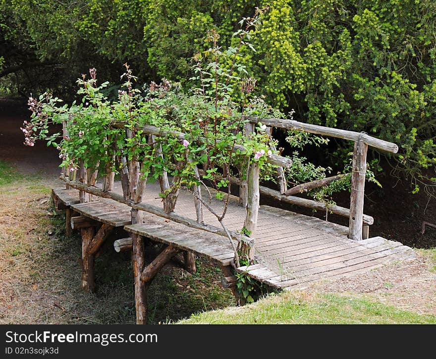 Rustic footbridge Bridge in a Garden