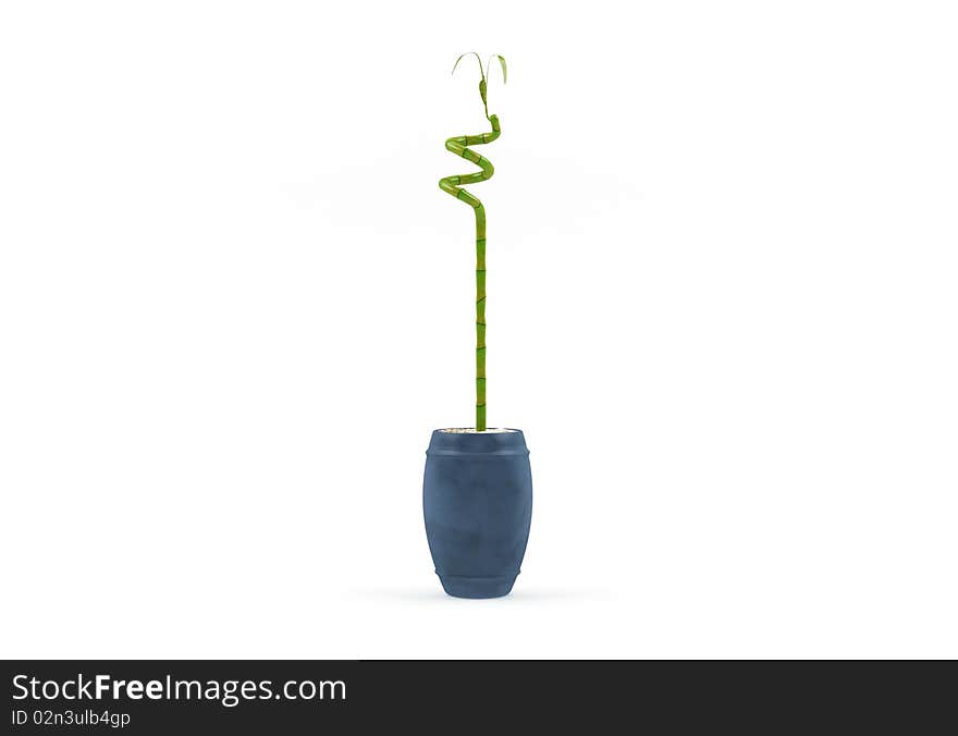 Small Fresh Decorative Green Tree Isolated