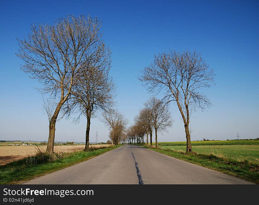 Countryside road at summer day. Countryside road at summer day