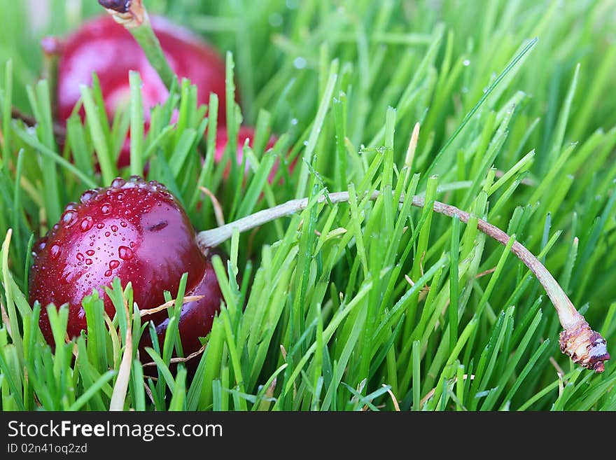 Red Cherries