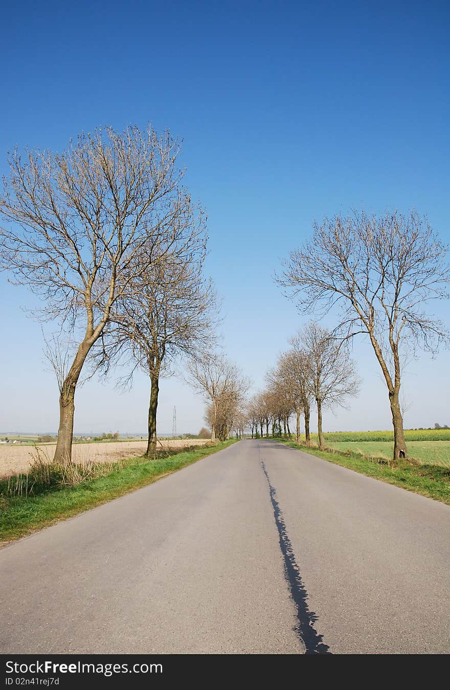 Countryside road at summer day. Countryside road at summer day